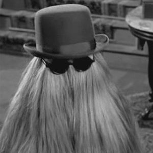 Meet your Posher, Haylee